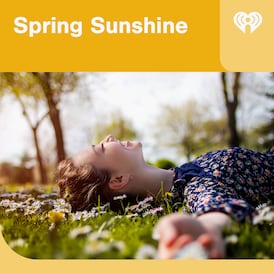 Spring Sunshine