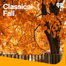 Classical Fall