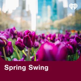 Spring Swing