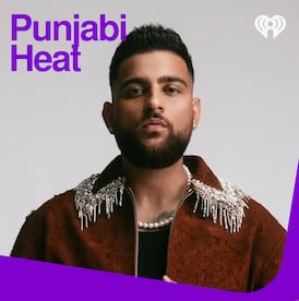 Punjabi Heat